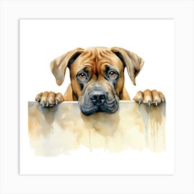 Boxer Dog 8 Art Print