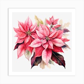 Poinsettia Flowers 1 Art Print