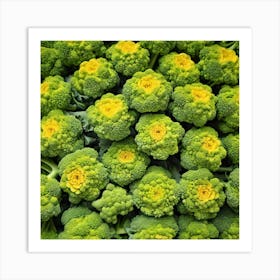 Florets Of Broccoli 8 Art Print