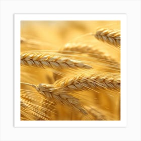 Golden Wheat 3 Art Print