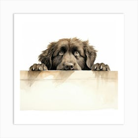 Dog Peeking Over The Wall 25 Art Print