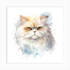 Domestic Shorthair Persian Cat Portrait 3 Art Print