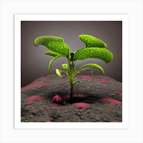 Plant Growing On A Rock Art Print