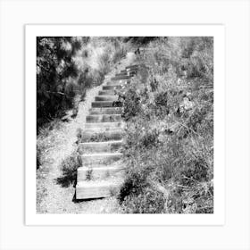 Escalier Art Print