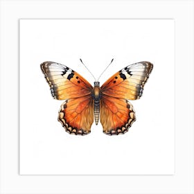 Butterfly 48 Art Print