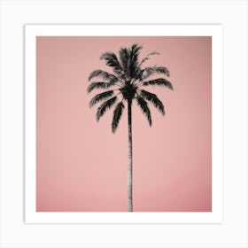 A Lone Palm Pink Art Print 1 Art Print