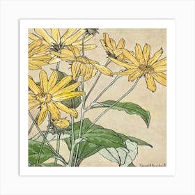 Yellow Daisies Art Print