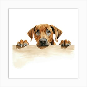 Dachshund 27 Art Print