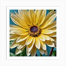 Yellow Dahlia Art Print