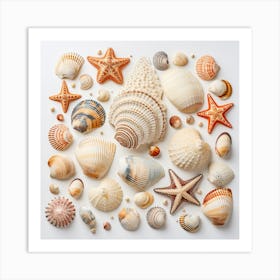 Sea Shells Art Print