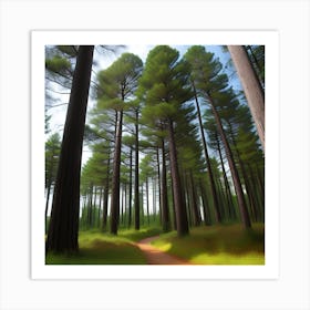 Pine Forest Art Print