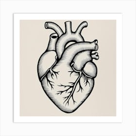 Anatomical Heart 🫀 Art Print