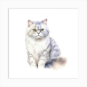 American Shorthair Persian Cat Portrait Art Print