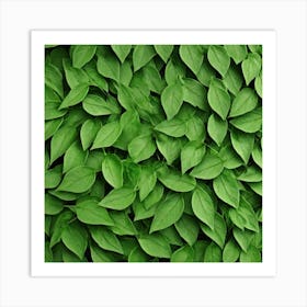 Green Leaves Background 1 Art Print