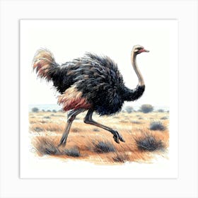 Ostrich Run in Color Detail Drawing - Wild Bird Artwork 125 Art Print