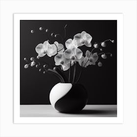 Black And White Orchids 2 Art Print
