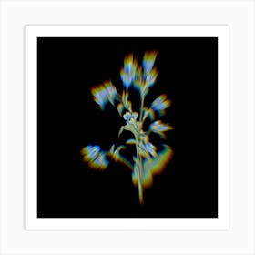 Prism Shift Commelina Tuberosa Botanical Illustration on Black Art Print