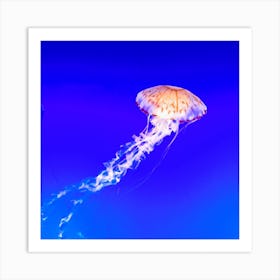 Jellyfish Art Print