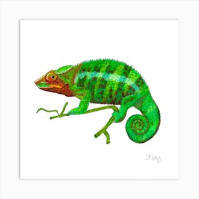 Chameleon. 1 Art Print