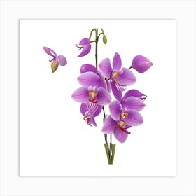 Purple Orchids Art Print