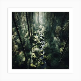 Stream In The Forest Art Print