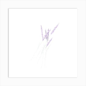 Lavender 2 Art Print