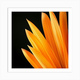 Close Up Of Orange Flower Art Print