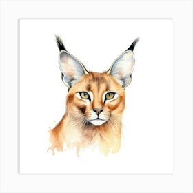 Caracal Cat Portrait 2 Art Print