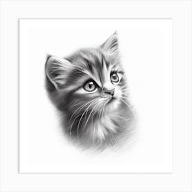 Purr-fectly Sketched Art Print