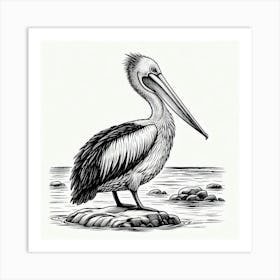 Line Art pelican 3 Art Print