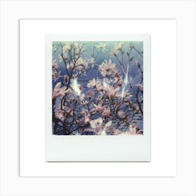 Polaroid Magnolia Blossom 03 Art Print
