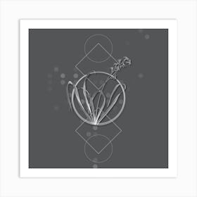 Vintage Dutch Hyacinth Botanical with Line Motif and Dot Pattern in Ghost Gray n.0031 Art Print