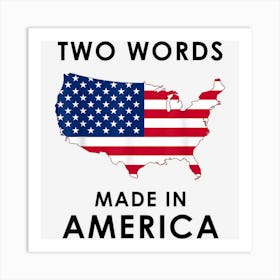 Two Words Made In America Funny Biden Quote Anti Joe Biden Art Print