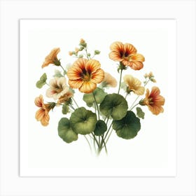 Flowers of Nasturtium 3 Art Print