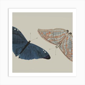 Butterfly Pair Art Print