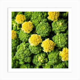Close Up Of Green Broccoli 1 Art Print