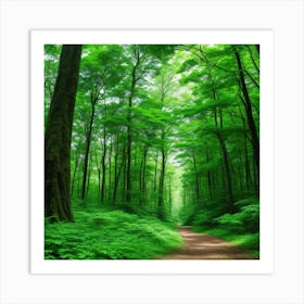 Green Forest Path Art Print