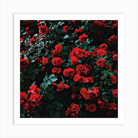 les fleurs rouges Art Print