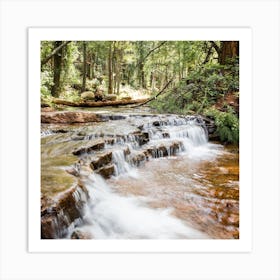 Forest Waterfall Square Art Print