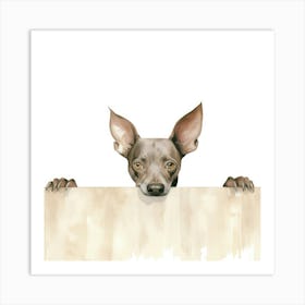 Xoloitzcuintli Dog 1 Art Print