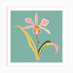 Monkey Orchid 3 Square Flower Illustration Art Print