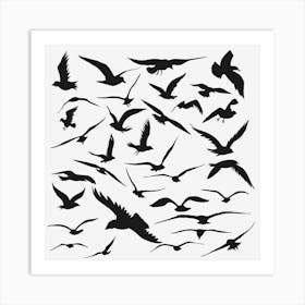 Black And White Bird Silhouette Art Print