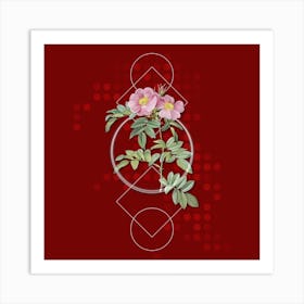 Vintage Shining Rosa Lucida Botanical with Geometric Line Motif and Dot Pattern n.0382 Art Print