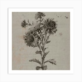 Bouquet Of Sunflowers Art Print