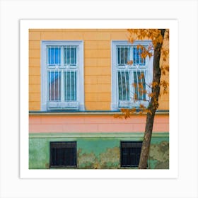 Windows And A Tree Of Autumn Square Art Print