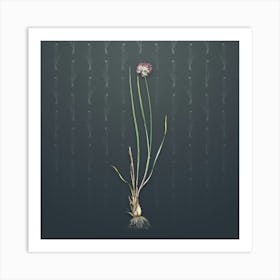 Vintage Allium Foliosum Botanical on Slate Gray Pattern n.1121 Art Print