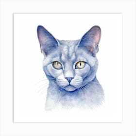 Belarusian Blue Cat Portrait 1 Art Print