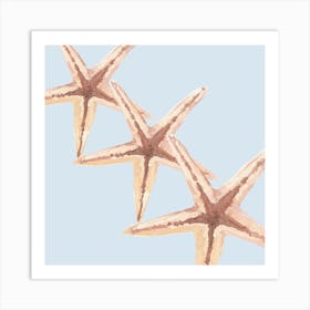 Starfish Canvas Art Art Print