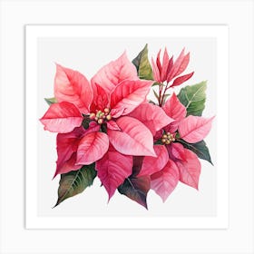 Poinsettia 31 Art Print