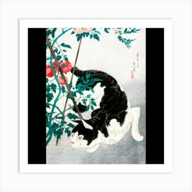 Cat In A Cherry Tree Art Print